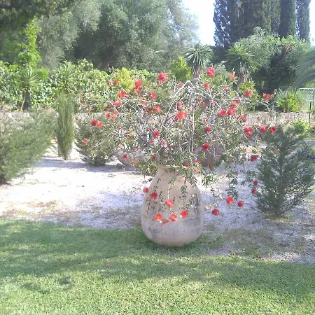 Jioia Perama (Corfu)